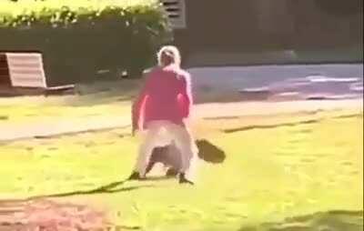 Unexpected chaos in the park