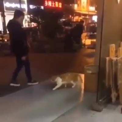 tadinho ele ta lagado 😢