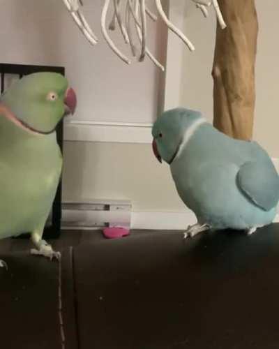 Love party with lot's of smoochies