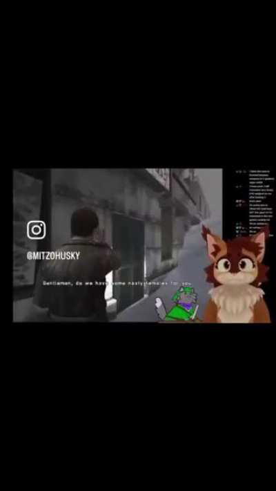 Loser City Cat House