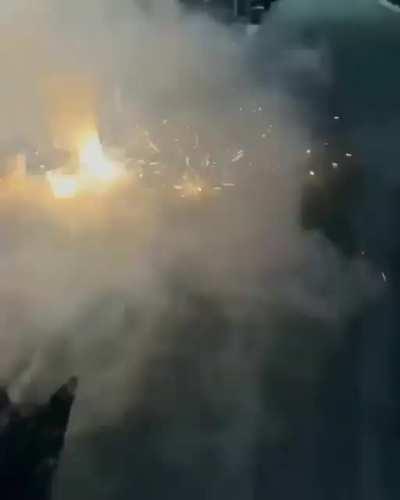 This dog woke up and chose violence.