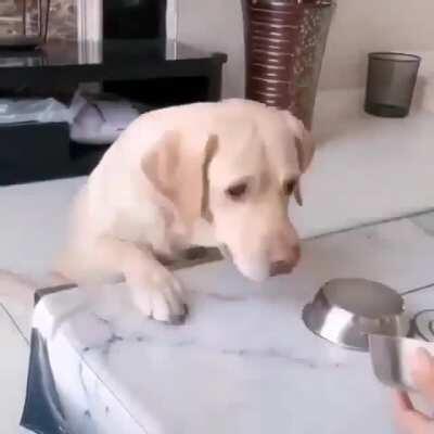 What the hell is this bamboozlery?!