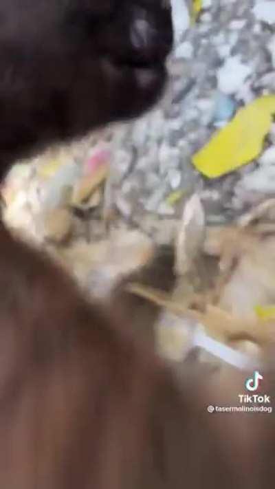 you're my friend now (not oc)