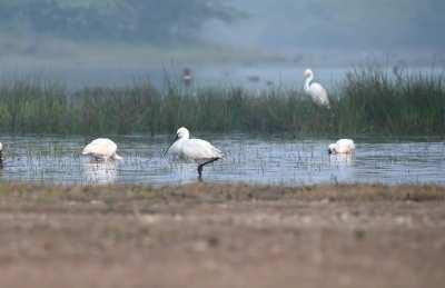 A wonderful winter morning at Lake Menar, India