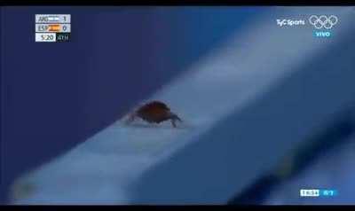 Best Olympian in Turkey 💪💪💪