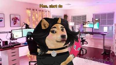 Le Reinforcements have not arrived