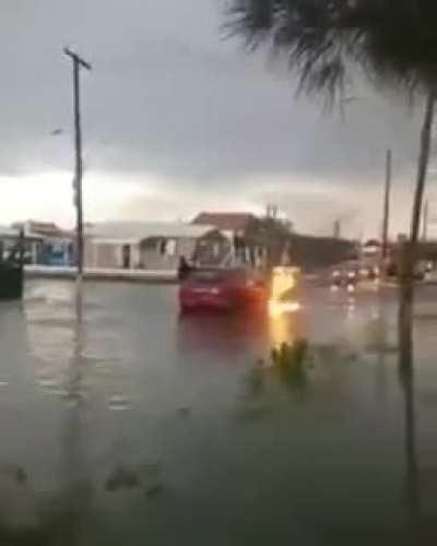 Basically 2020 so far...