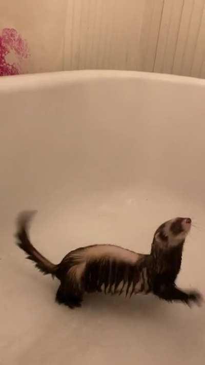 I turned the shower on for him and it made him do this… what is he doing here exactly?