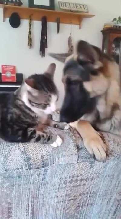 Loolll it’s kinda hard