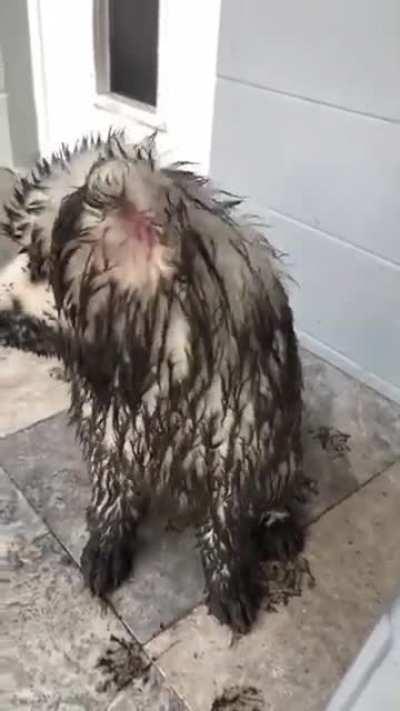 Like father like son