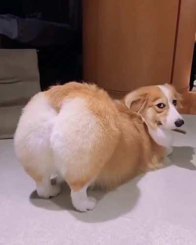 Hey! I’m sexy and I know it