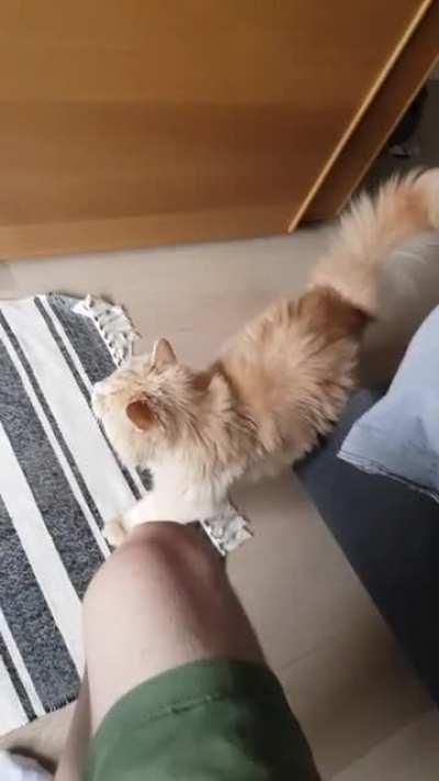 There's something in the closet..