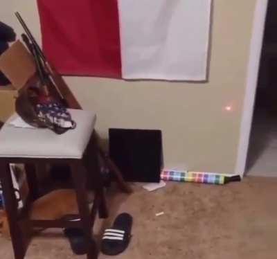 Just a cute video of a cat nothing more…