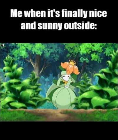 It's finally stopped raining and everything is beautiful and green! <3