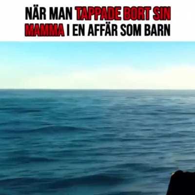 Igenkänningsfaktor 100%