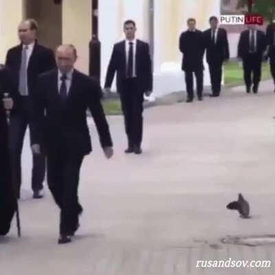 Bird salutes Putin