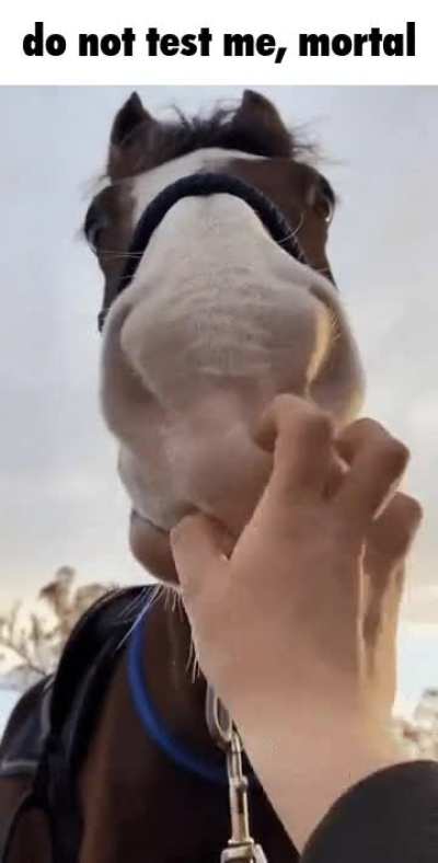 not so evil and intimidating now huh