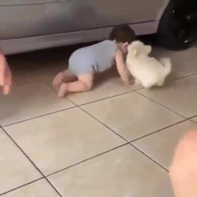 Puppy being a bundle of joy