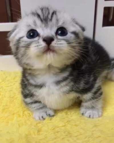 what a little sweetie