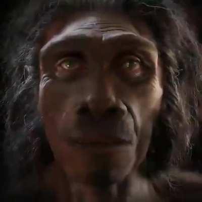 Should we welcome them back?!