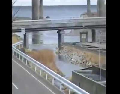 Massive wave approaching Japan during the 2011 Earthquake and Tsunami