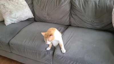 Why we are getting a new couch - part 2