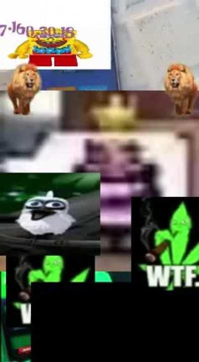 anrger bird plain clash royale 😨😨😨!111!!!11!!1!!!!!1!111!!!!!