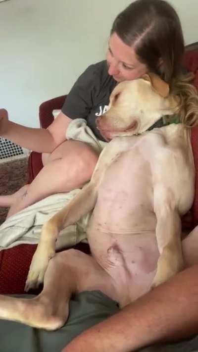 Caught my GF taking selfies with my dog. The shade he throws me at the end hurt me...