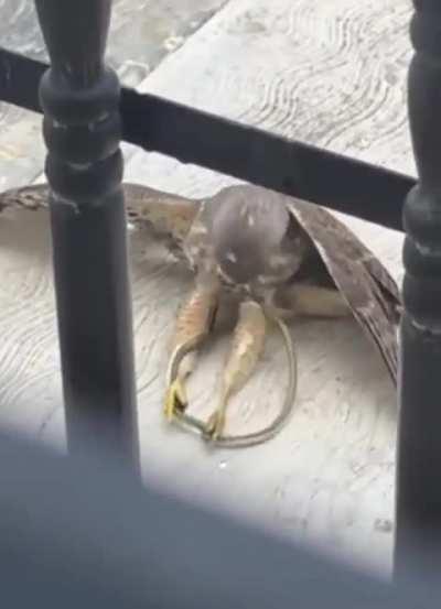 That’s how Mexico was founded y’all