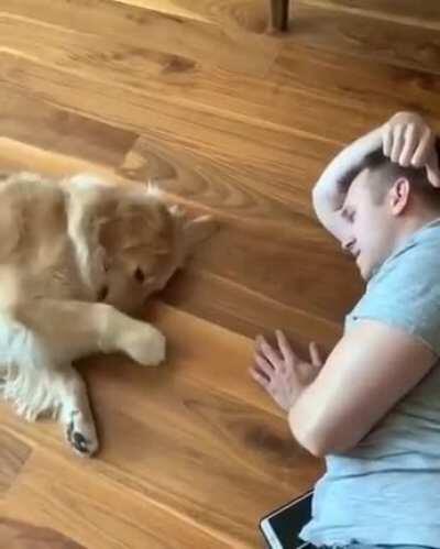 Dog and Owner have some chill fun