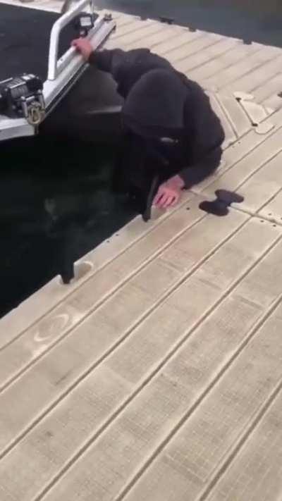 hmb all the way into the water