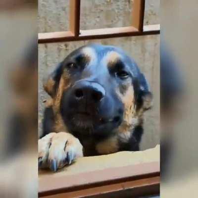 Digamos q tenha um título bom aq