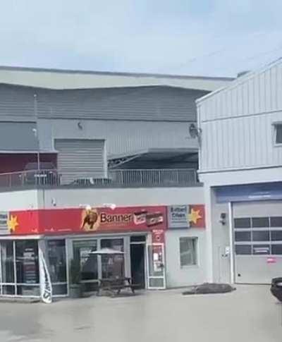 Moose thought he had no fall damage