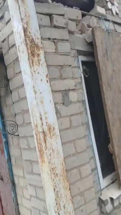 Video shared by battalion of Ukrainian volunteers who saved three houses and two puppies from incendiary munitions