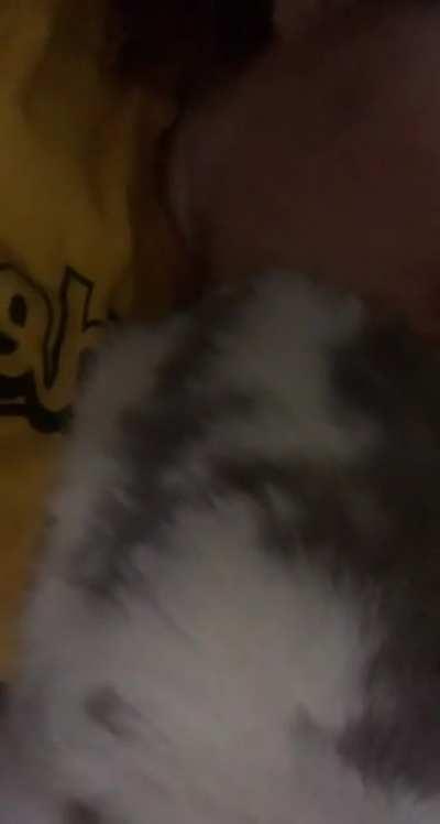 Butt face smh do y’all’s do this too?