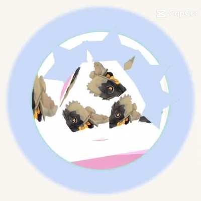 Bazelguese edit ð¥°