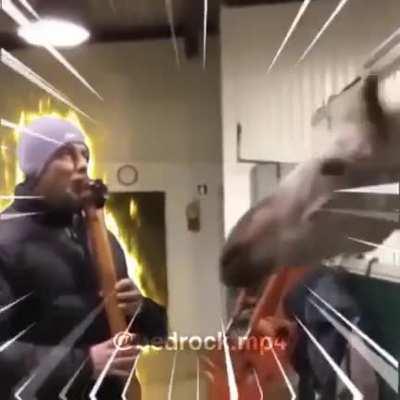 Mais Jojo reference?