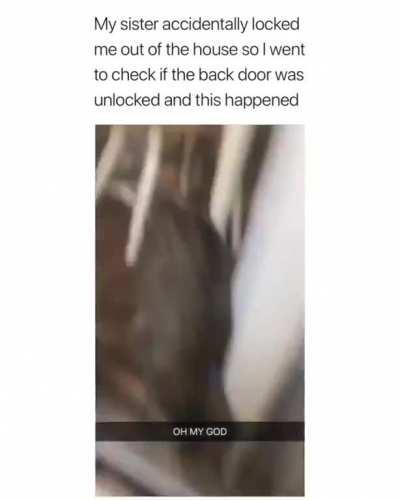 A helping paw is always appreciated