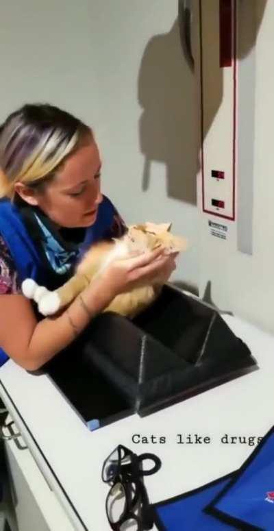 Under the influence.