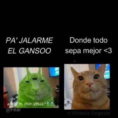 Alguien para hablar sobre cualquier cosa