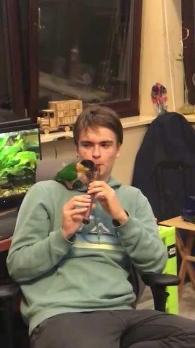 My birb hates when i play the flute for some reason.