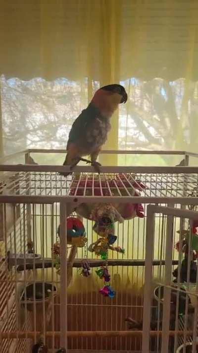 Katy Perry's next backup dancer!!!