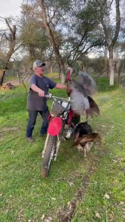 Camera person be like, I got good content for the internet.