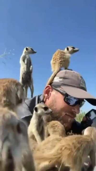 Приняли за своего