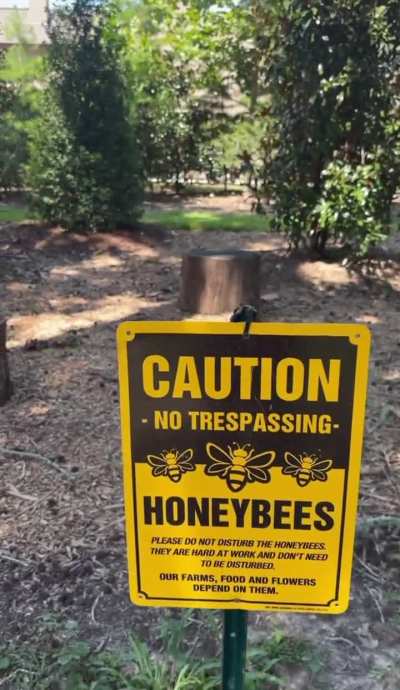 Baton Rouge Gemz💎