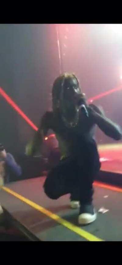 The real WHOLELOTTARED tour (2015)