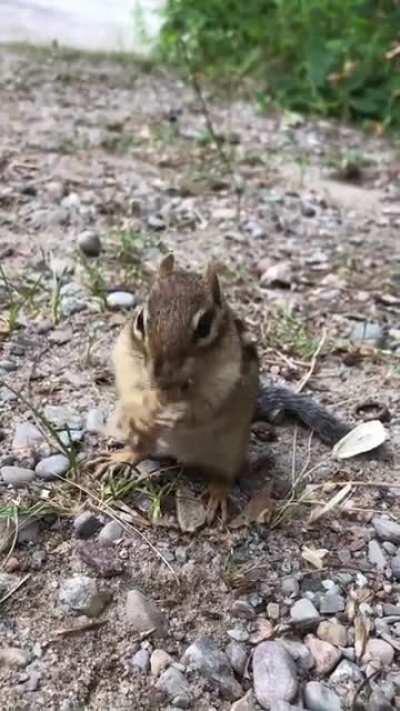 🔥 This huge mo... Holy shit🔥🔥🔥