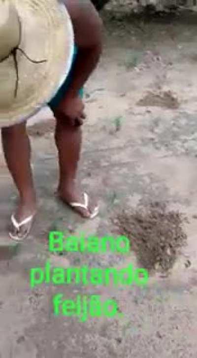 agora eu quero um tatu