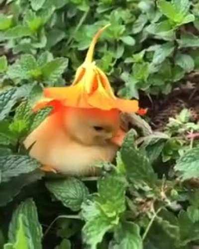 The perfect solution for a sad teen :)