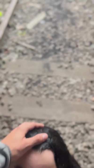 I’ll suck it anywhere he wants 